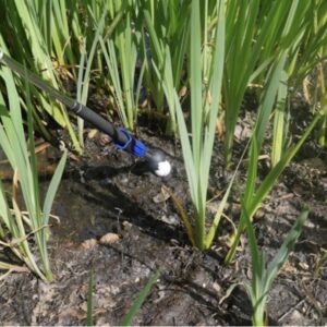 Golf Aids for Older Golfers